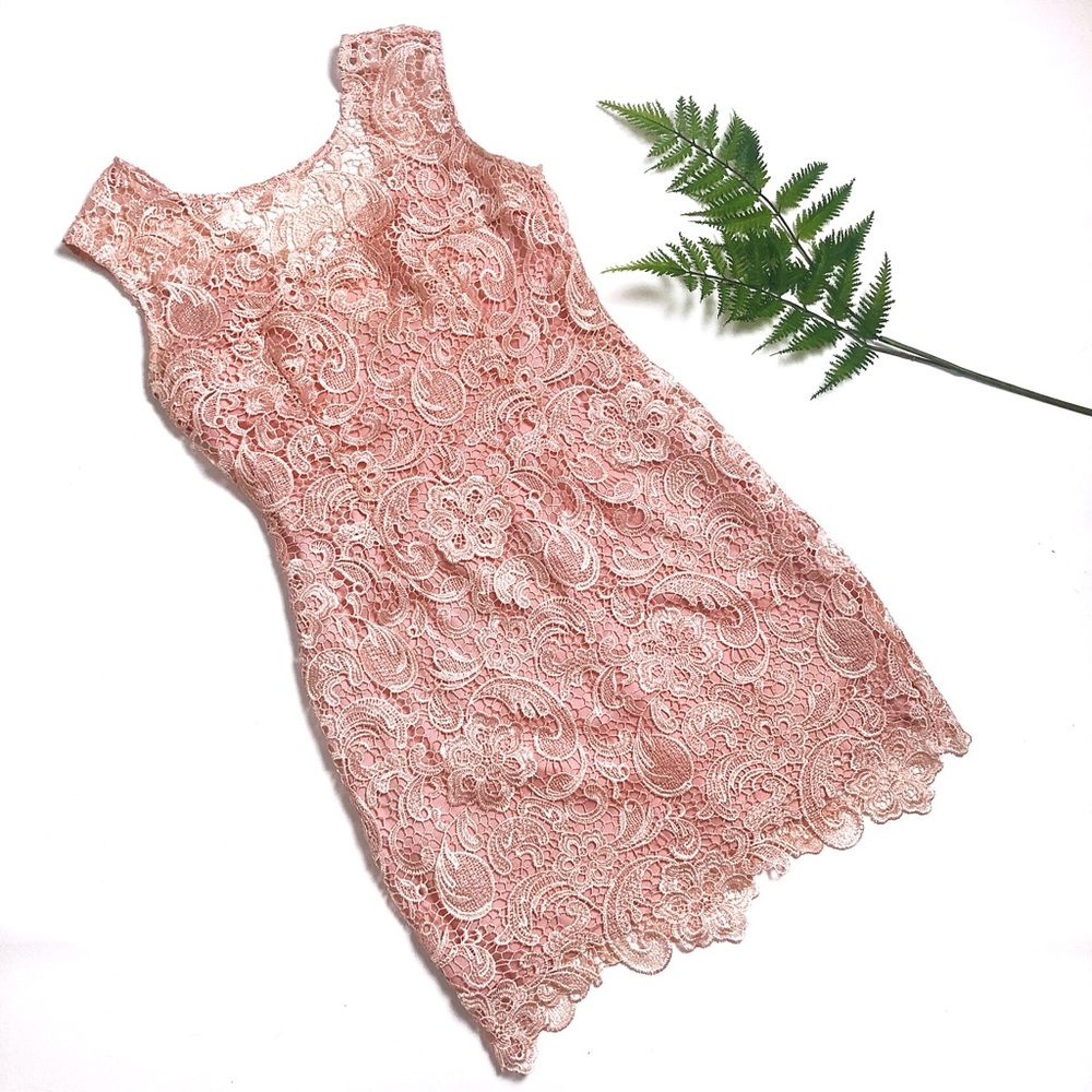 Aina Be Blush Pink Lace Sheath Dress